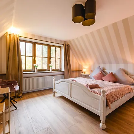 Wilde 7 Olsberg